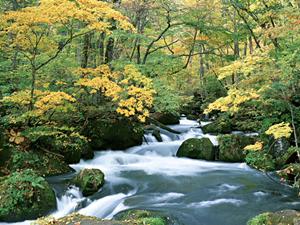 神戸三宮のビジネスホテル|東横INN神戸三宮駅東の魅力と予約情報