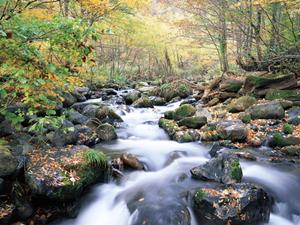 【公式】東横INN西船橋原木インター|千葉県市川市の快適なビジネスホテルと観光拠点