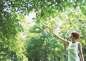 川口駅前のビジネスホテル【東横INN川口駅前】 便利なアクセスと快適な滞在を提供する人気宿泊施設