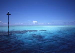 東横INN日本橋税務署前:ビジネスと観光に最適な快適ホテルガイド