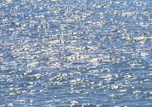 北海道釧路市に泊まるなら東横INN釧路十字街 ? 便利な立地と快適な設備を備えたビジネスホテル