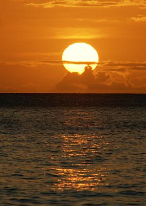 【熊本県八代市・新八代駅近く】東横INN新八代駅前の魅力と宿泊情報ガイド