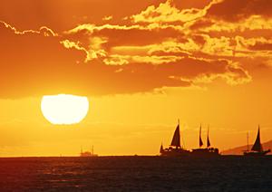 【公式情報と特徴解説】東横INN品川大井町|アクセス良好なビジネスホテル