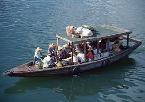 東京駅新大橋前の快適ビジネスホテル|東横INNの魅力と詳細情報