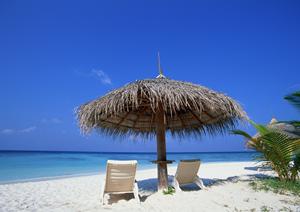 浦和美園駅近くのビジネスホテル「東横INN浦和美園駅東口」の詳細と魅力