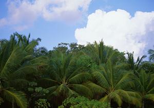 【2025年7月】システムメンテナンスのお知らせとその影響について