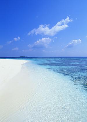 東横INN丸亀駅前|香川県丸亀市の快適なビジネスホテルと便利なアクセス情報