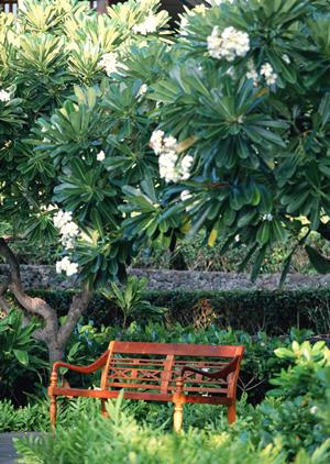 北海道札幌駅北口に位置する東横INNホテルの魅力と詳細情報