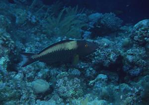 【公式】東横INN池袋北口1|東京都豊島区の便利なビジネスホテルと観光に最適な宿泊施設