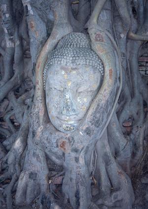 北戸田駅から徒歩2分の快適滞在を実現!東横INN北戸田駅東口の魅力と詳細情報