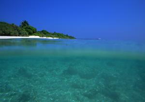 京都のビジネスホテル「東横INN京都五条烏丸」:快適な滞在と便利なアクセスを実現